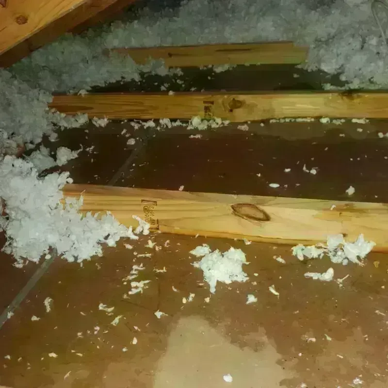 Attic Water Damage in Waialua, HI